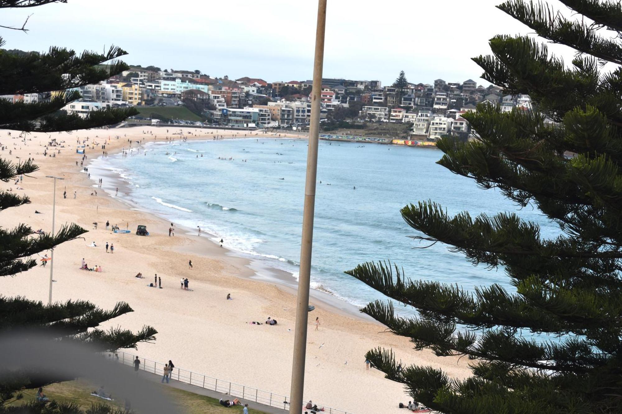 Bondi 38 Serviced Apartments Sydney Esterno foto