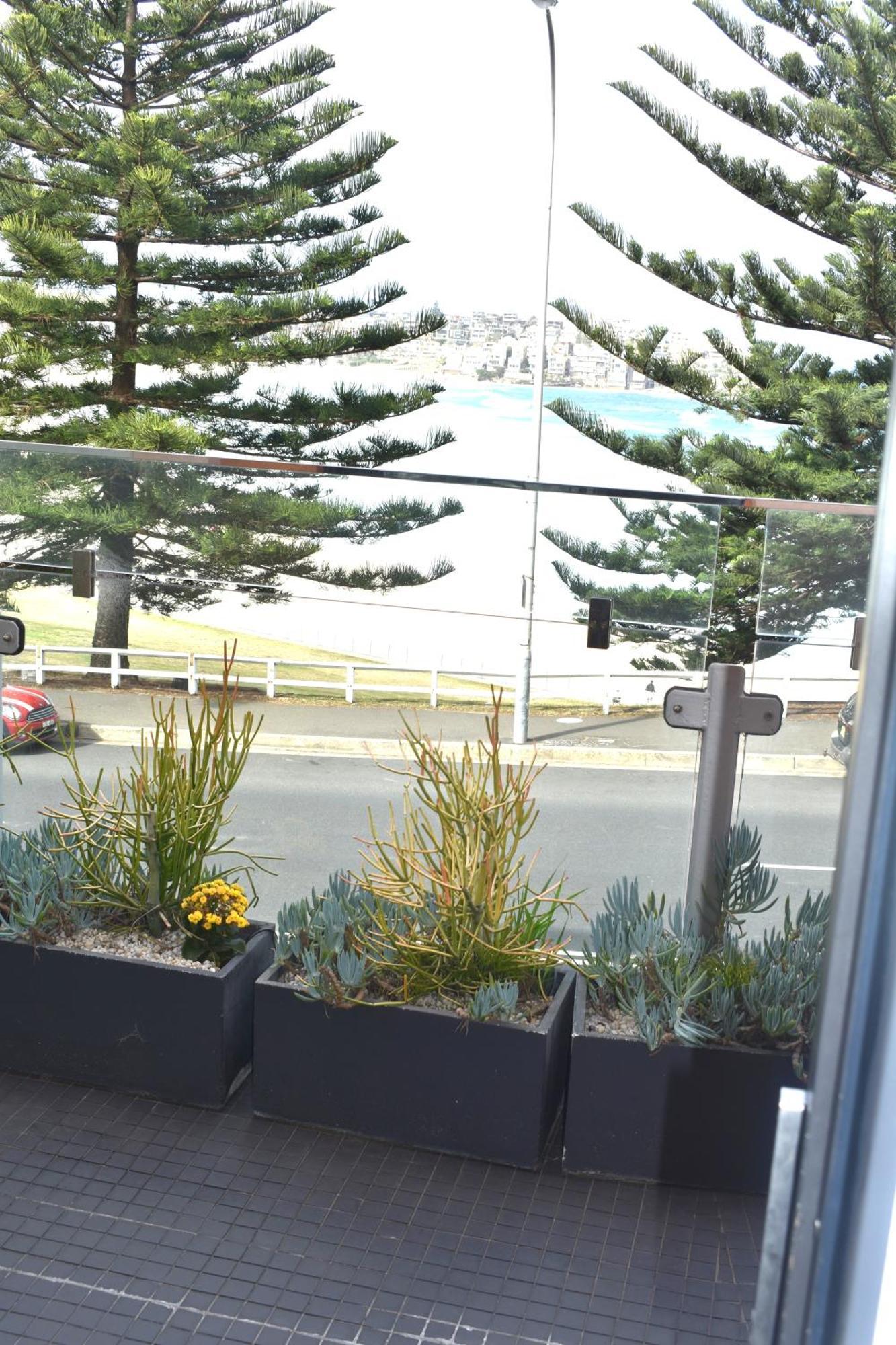 Bondi 38 Serviced Apartments Sydney Esterno foto